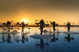 A group of people working in fields