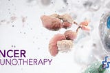 Alternative Treatments to Chemotherapy