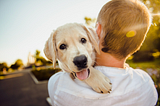 The Benefits of Pet Assisted Therapy: Everything You Need to Know