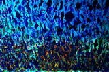 Emanuela Presepi è un'artista e una professionista di Cesena appassionata di arte e di scienza…
