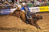 Bull Riding: The Most Dangerous Sport in the World