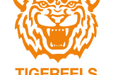 Q & A | ReWild Africa and Tiger Eels Design — A Wild Collaboration