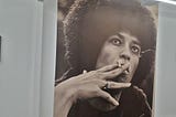 Notes on “Black Panthers & Revolution: The Art of Stephen James