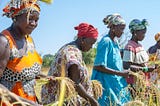 Sénégal : Bouse de vache, la « pépite verte » des femmes de Kolda