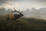 WHY SOLAR PANELS MATTER FOR HUNTING CAMERAS