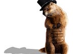 Groundhog Days Got You Down?