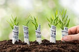Cracking the Valuation Code: A Strategic Guide for Pre-seed and Seed Startups