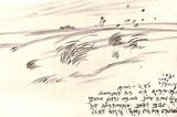 Translation: The Storm & the Lyre