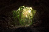 Image taken from inside a dark cave looking out at the lush greenery and the warmth of the sun.