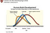 Montessori, STEM, and Brain Training: Do They Really Benefit Child Cognition?