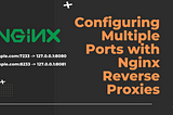 Configuring Multiple Ports With Nginx Reverse Proxies on the Same Domain