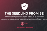 Seedling Newsletter #004 — January 2022