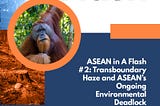 ASEAN in A Flash #2: Transboundary Haze and ASEAN’s Ongoing Environmental Deadlock