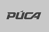 PUCA Logo with the pattern