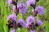 Group convenes to set priorities for managing and protecting native vegetation and biodiversity