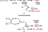 Figure showing how free radicals are generated in our cells.