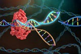 A Comparison Between Three Genome Editing Techniques: ZFNs, TALENs, and CRISPR