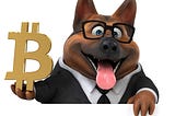 From Under Dog to Top Dog: What People Failed to Understand About Bitcoin