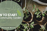 How to Start a Community Garden