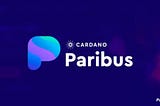 IMPORTANCE THINGS YOU NEED KNOW ABOUT PARIBUS