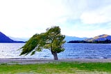 Lake Wanaka