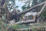 Hurricane Beryl’s Disaster Prep & Life Lessons