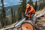 Chainsaw logging at high altitude