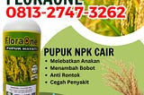 ALAMI CALL 0813–2747–3262, PUSAT Pupuk Padi Cakrabuana Baa, Pupuk Padi Pajajaran Manggarai Barat…