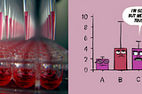 Understanding Context: Experimental Biology and Statistics