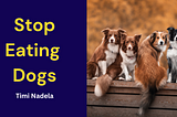 Stop Eating Dogs: They’re More Than Food