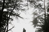 A person standing in the centre of a wintry forest, opening into foggy white space.