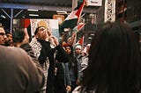 Anti-Israel Protesters in Chicago