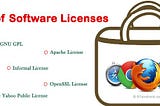 SOFTWARE LICENSING