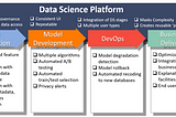 Data Science Platforms: Friends or Foes