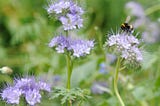 Mes combats pour la biodiversité