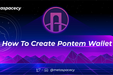 How to Create and Set Up Pontem Wallet