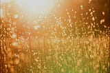A viral awakening for business