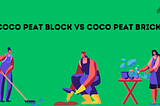 What is the Difference Between Coco Peat Block And Coco Peat Brick?