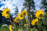 Methow Valley Mountain Biking