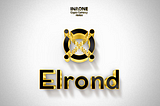 Elrond: the strength of the team and its community!