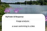 myfinder response to image analysis, a swan swimming in a lake