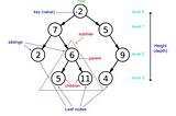 Basic Understanding of Binary Tree