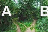 Path in a forest splitting in 2. Illustrating the concept of A/B testing