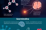 The Spermidine: A Natural Polyamine for Healthspan Extension and Disease Prevention