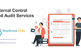 Internal Control and Audit Services