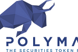 Polymath Town Hall #1— Development Update