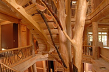 Tree House Staircase, Ostego Lake, New York