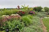 Lush flowers and shrubs on a garden embankment in Dan Greiner’s yard