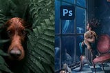 Photoshop Vs Lightroom