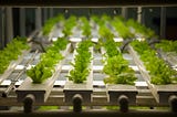 Hydroponics, Aquaponics, Bioponics-